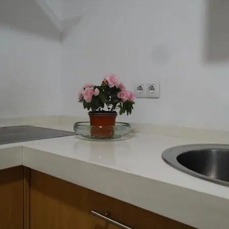 Pleno Centro Muy Luminoso Appartement Córdoba