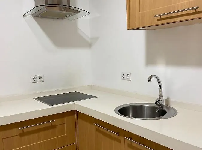 Pleno Centro Muy Luminoso 公寓 *